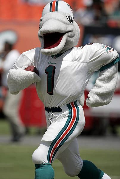 The official dolphin mascot of the miami dolphins